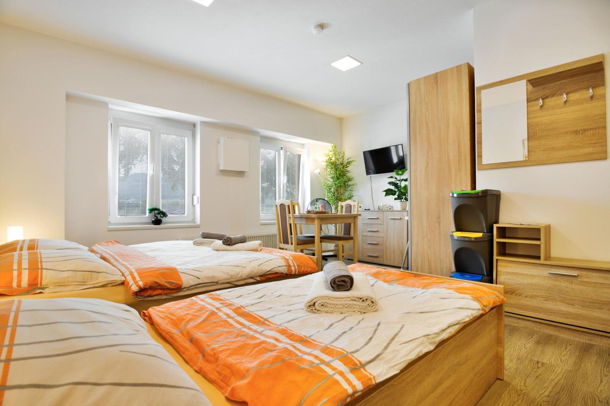 Apartmany 德辛 外观 照片