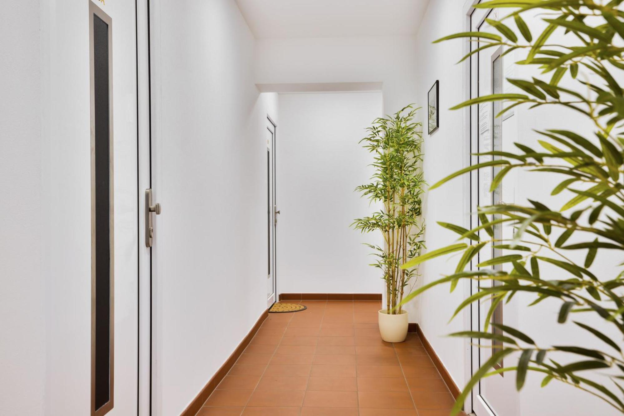 Apartmany 德辛 外观 照片