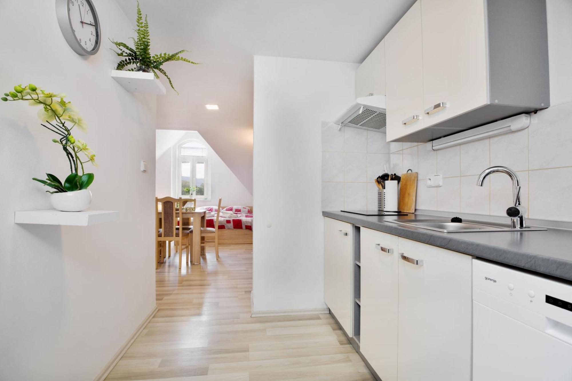 Apartmany 德辛 外观 照片