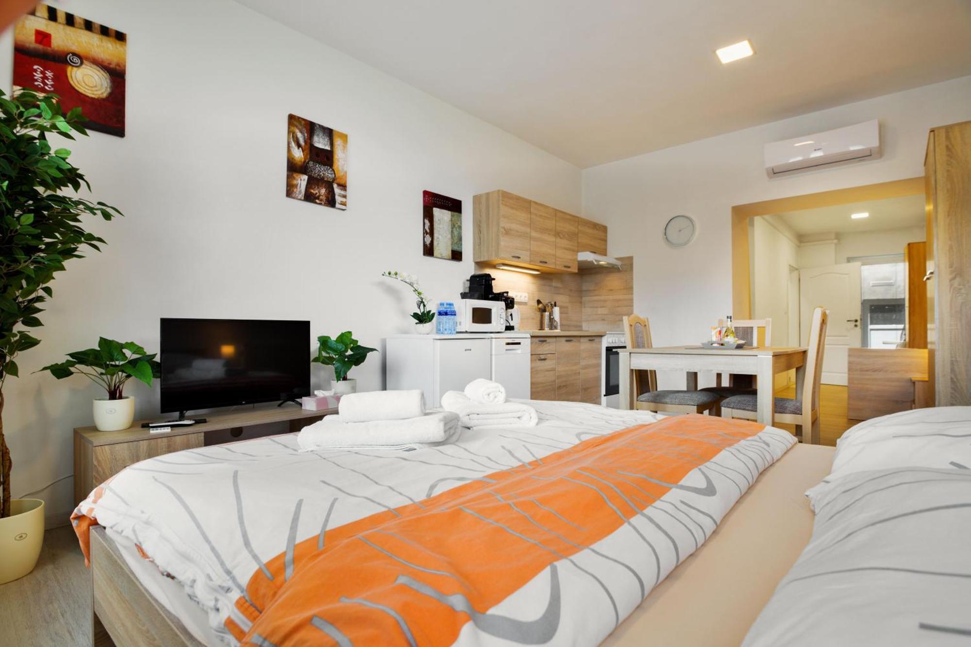 Apartmany 德辛 外观 照片