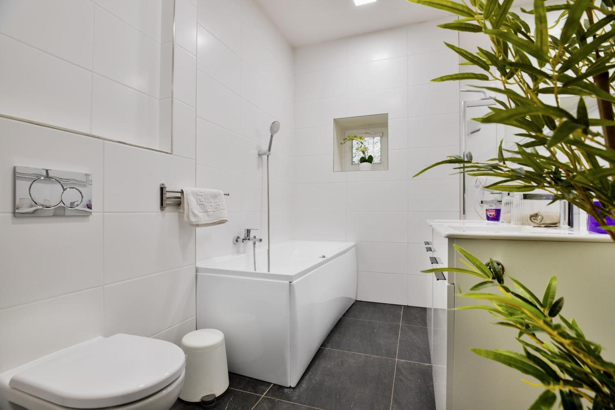 Apartmany 德辛 外观 照片